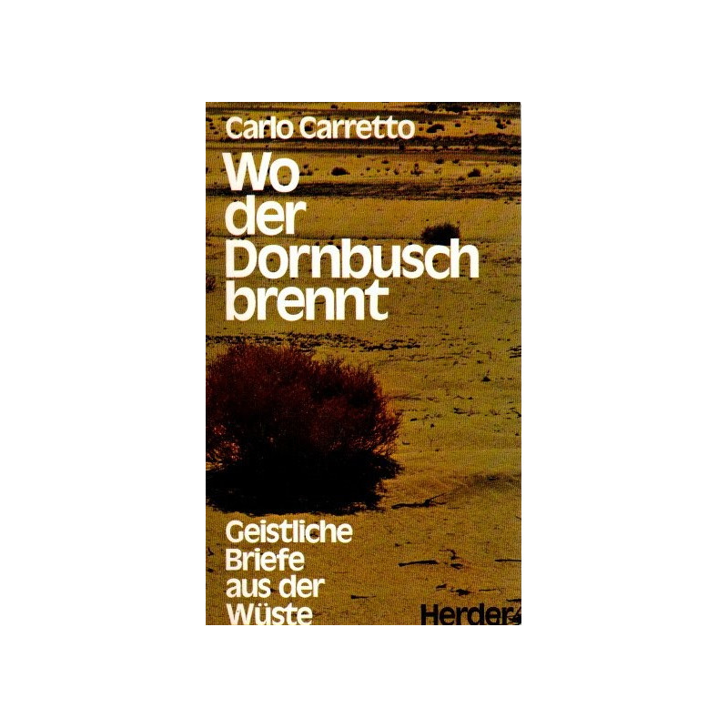 Wo der Dornbusch brennt - Geistliche Briefe aus der Wüste