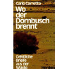 Wo der Dornbusch brennt - Geistliche Briefe aus der Wüste