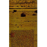 Wo der Dornbusch brennt - Geistliche Briefe aus der Wüste