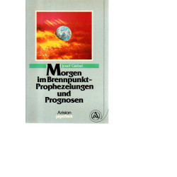 Morgen im Brennpunkt - Prophezeiungen und Prognosen - Tb