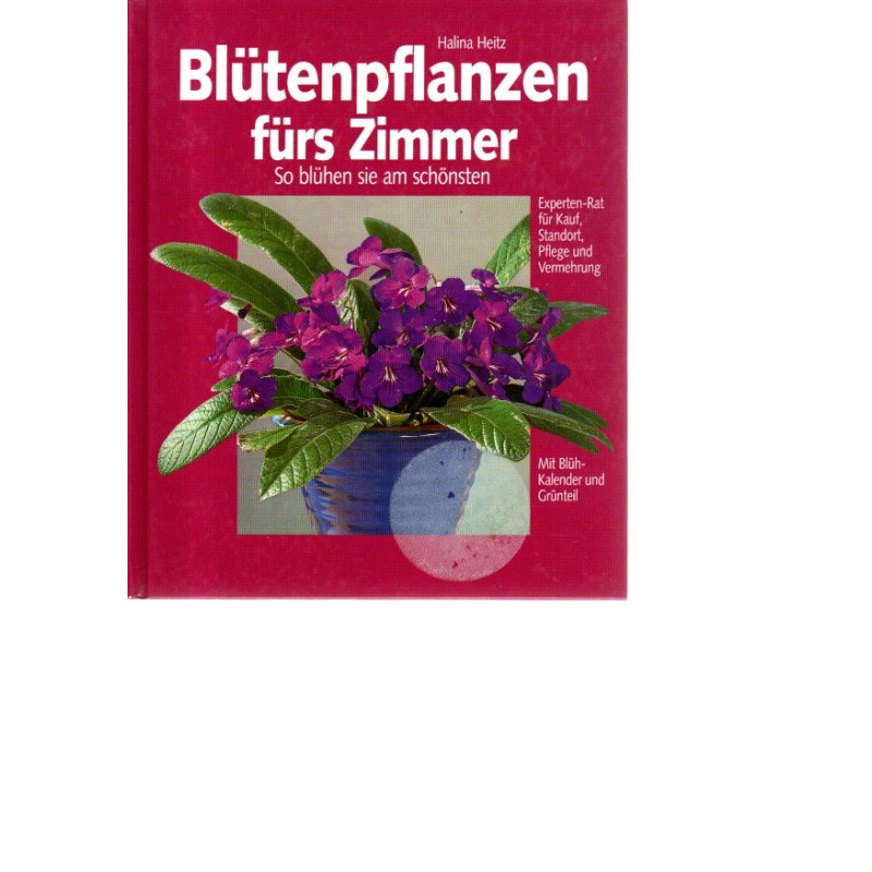 Blütenpflanzen fürs Zimmer - So blühen sie am schönsten